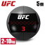 ܡ ܡ ȥܡ ȥ졼˥󥰥ܡ 5ĥå UFC Ʈ ե꡼ ȥ졼˥ 1kg ̳  ե UFC-FTWB 2kg 4kg 6kg 8kg 10kg