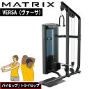 ストレングスマシン ウエイトマシン バイセップ トライセップ トレーニングマシン 業務用 VERSAシリーズ VS-S401 ジョンソン ジョンソンヘルステック...