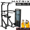 ストレングスマシン ウエイトマシン チン ディップアシスト トレーニングマシン 業務用 VERSAシリーズ VS-S601 ジョンソン ジョンソンヘルステック ...