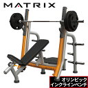 オリンピックインクラインベンチ MG-A679 ベンチプレス トレーニングベンチ ウエイトトレーニング 業務用 MAGNUMシリーズ MG-A679 ジョンソン...