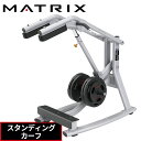スタンディングカーフ MG-PL76 プレートローデッド トレーニングベンチ ウエイトトレーニング トレーニングマシン 業務用 MAGNUMシリーズ ジョンソン...