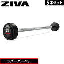 ラバーバーベル 5本セット 10kg-45kg ラバー材質 ZIVA ジーヴァ ダンベル トレーニング器具 パワーラック 筋トレ フリーウエイト トレーニングバー ウエイトトレーニング バーベル ベンチプレス ウエイトリフティング