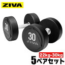 【業務用】ダンベル DUMBBELL 10個 5ペアセット 22kg 24kg 26kg 28kg 30kg 22kg-30kg 鉄アレイ ウレタン材質 スチー...