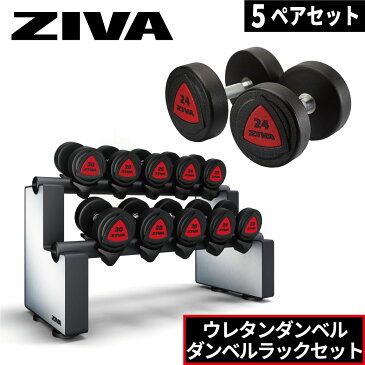 ダンベル ダンベルラック ウレタンダンベル 5ペア ラックセット ウレタン材質 ダンベルホルダー ZIVA ジーヴァ フリーウエイト トレーニング 4kgきざみ アレンジ可能 業務用 家庭用 トレーニング器具 鉄アレイ バーベル アレー 筋トレ