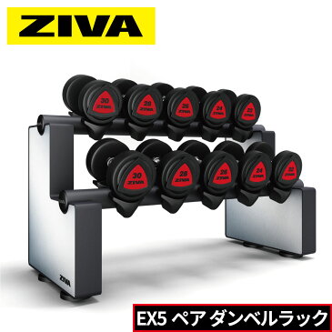 ダンベル ダンベルラック ウレタンダンベル 5ペア ラックセット ウレタン材質 ダンベルホルダー ZIVA ジーヴァ フリーウエイト トレーニング 4kgきざみ アレンジ可能 業務用 家庭用 トレーニング器具 鉄アレイ バーベル アレー 筋トレ