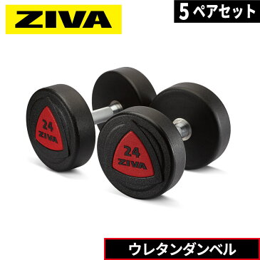 ダンベル ダンベルラック ウレタンダンベル 5ペア ラックセット ウレタン材質 ダンベルホルダー ZIVA ジーヴァ フリーウエイト トレーニング 4kgきざみ アレンジ可能 業務用 家庭用 トレーニング器具 鉄アレイ バーベル アレー 筋トレ