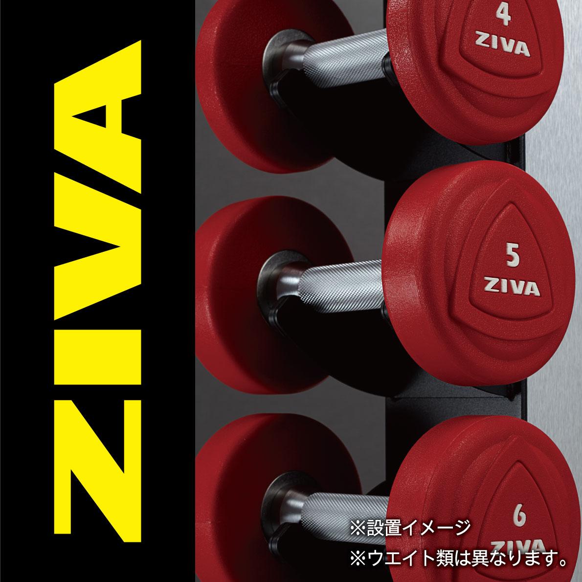 デュオベビー敷布団 ダンベルラック ウレタンダンベル トライベル 10ペア ラックセット ダンベルホルダー Ziva ジーヴァ スタジオダンベル フリーウエイト トレーニング 1kgきざみ 業務用 家庭用 送料無料p3倍 フィットネス トレーニングスポーツ アウトドア Www デュオベビー敷布団 ダンベルラック ウレタンダンベル トライベル 10ペア ラックセット ダンベルホルダー Ziva ジーヴァ スタジオダンベル フリーウエイト トレーニング 1kgきざみ 業務用 家庭用 送料無料p3倍 フィットネス トレーニングスポーツ アウトドア Www