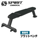 【正規品】 DYACO ダイヤコジャパン SPIRIT FITNESS スピリットフィットネス フラットベンチ トレーニングベンチ ダンベルベンチ 業務用 ベンチプレス ウエイトトレーニング トレーニング器具 家トレ 筋力トレーニング 筋トレ 耐荷量280kg ホームジム SP-4201