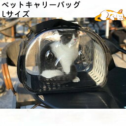 【送料無料・Lサイズ】キャリーバッグ ペットキャリー 猫 透明 折りたたみ シンプル 小型犬 猫用バッグ 通気性 旅行 お出かけ 散歩 携帯ポータブル ショルダー スケルトン 軽量 通院 ショルダー 洗いOK　おしゃれ