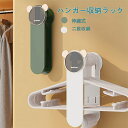 【伸縮式】ハンガー収納用ラック ハンガーラック 洗濯ハンガー 家具 トイレ収納 洗面所収納 コンパクト収納 ハンガー 収納 省スペース 二段 伸縮 送料無料 ...