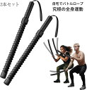 コードレス バトルロープ 2本セット エクササイズ バトルロープ コードレス フィットネス アウトスティック フィットネスバー 運動ワーク アウト 屋内屋外 トレーニング ロープ クロスフィット向け プログレード プロ仕様 ロープ 紐 トレーニングバンド