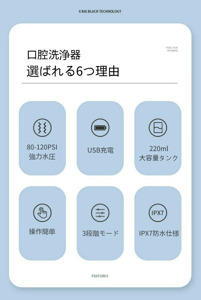 口腔洗浄器 ジェットウォッシャー ウォーターフロス 220mlタンク 大容量 4本替えノ...