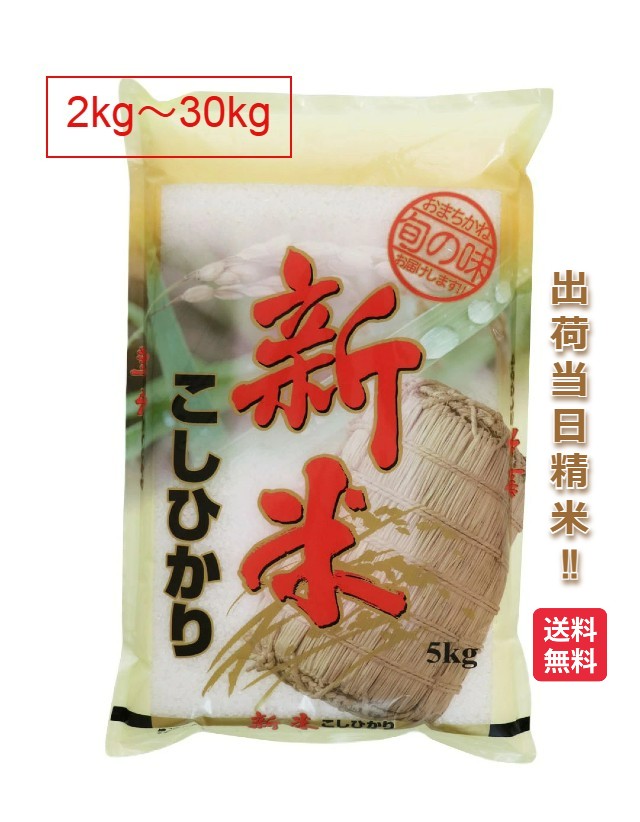 鹿児島県 コシヒカリ 米 2kg 5kg 10kg 15kg 20kg 25kg 30kg 送料無料 令和6年 こしひかり お米 白米のサムネイル