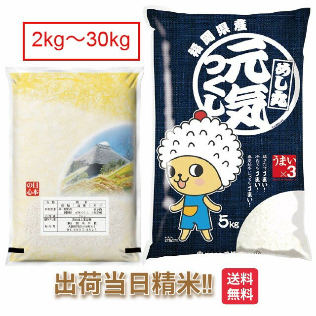 福岡県 元気つくし 特別栽培米2kg 5kg 10kg 15kg 20kg 25kg 30kg 送料無料 令和6年 減農薬 米 お米 白米
