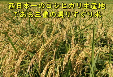 【スーパーセール限定10％OFF】令和3年産 こしひかり 三重県産コシヒカリ 玄米10kg(10kgx1袋or5kgx2袋) 送料無料 米ぬか無料 精米無料 白米 無洗米 3分づき 5分づき 7分づき 米 10キロ