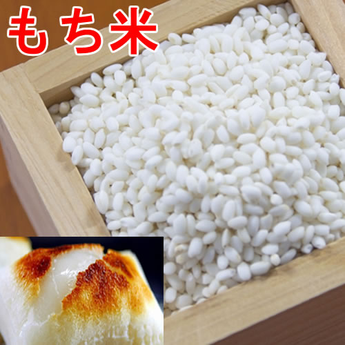 【レターパック送料無料】もち米 令和5年産 佐賀産ひよくもち 1.4kg（1升）【お餅搗き（お餅つき）】