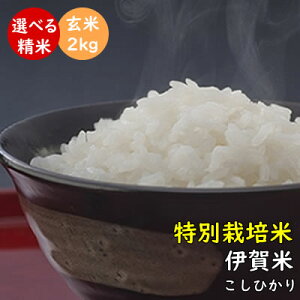 伊賀米コシヒカリ【特別栽培米】新米 令和2年産 三重県伊賀産 玄米2kg みえの安心食材認定米 有機肥料使用　米ぬか無料 精米無料 白米 無洗米 3分づき 5分づき 7分づき 胚芽米