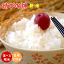 令和3年産 新米 結びの神 三重県産三重23号 玄米20kg（10kg×2袋）送料無料 米ぬか無料 精米無料 白米 無洗米 3分づき 5分づき 7分づき 胚芽米 むすびのかみ