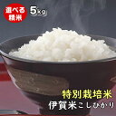 【特別栽培米】 伊賀米コシヒカリ 特A 三重県伊賀産 玄米5kg 令和4年産 みえの安心食材認定米 有機肥料使用　米ぬか無料 精米無料 白米 無洗米 3分づき 5分づき 7分づき 胚芽米