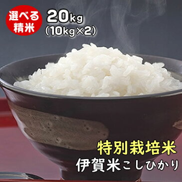 【ポイントUP中】 令和3年産 伊賀米コシヒカリ【特別栽培米】三重県伊賀産 玄米20kg(10kgx2袋) みえの安心食材認定米 有機肥料使用 米ぬか無料 精米無料 白米 無洗米 3分づき 5分づき 7分づき 胚芽米