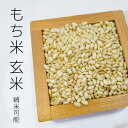 【送料無料】もち米 玄米 令和6年産 佐賀産ひよくもち 1.4kg