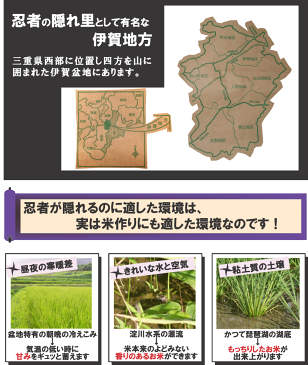 令和4年産 新米 伊賀米キヌヒカリ 三重県伊賀産 玄米10kg(10kgx1袋or5kgx2袋)【米ぬか無料】【精米無料】白米 無洗米 3分づき 5分づき 7分づき