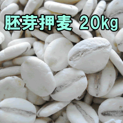 国内産・胚芽押麦 20kg【同梱不可】国産大麦使用 業務用大量サイズ 国産 麦ご飯