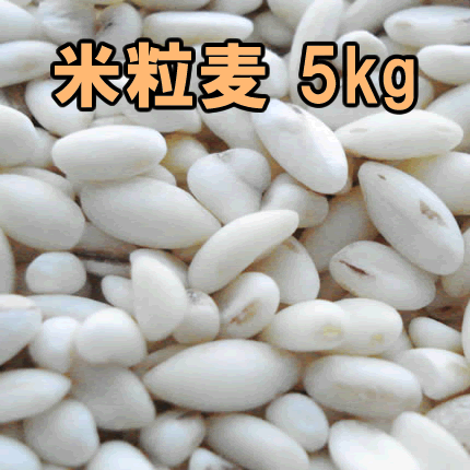 国内産・米粒麦 5kg 国産大麦使用 大量サイズ 国産 麦ご飯