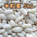 国内産・米粒麦 5kg 国産大麦使用 業務用大量サイズ 国産 麦ご飯