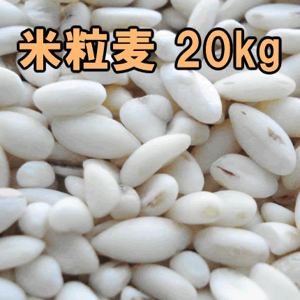 楽天市場】20kg（麦｜米・雑穀）：食品の通販