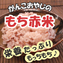 国産雑穀 赤米 250g 農薬不使用「がんこおやじのもち赤米」古代米 マクロビ