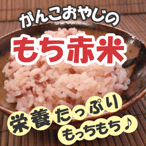 【メール便送料無料】【同梱不可】農薬不使用！自然派肥料使用！H28年産 がんこおやじのもち赤米250g×3 ※宅急便選択時送料追加※|マクロビ オーガニック|s60