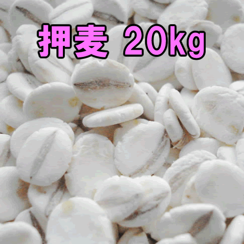 国内産・押麦 20kg【同梱不可】国産大麦使用 業務用大量サイズ 国産 麦ご飯