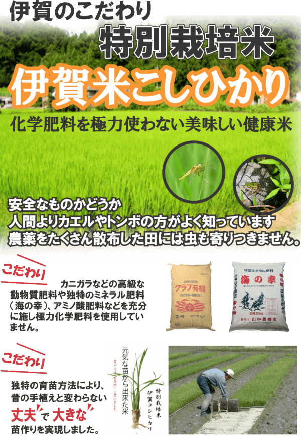 【ポイントUP中】 令和3年産 伊賀米コシヒカリ【特別栽培米】三重県伊賀産 玄米20kg(10kgx2袋) みえの安心食材認定米 有機肥料使用 米ぬか無料 精米無料 白米 無洗米 3分づき 5分づき 7分づき 胚芽米