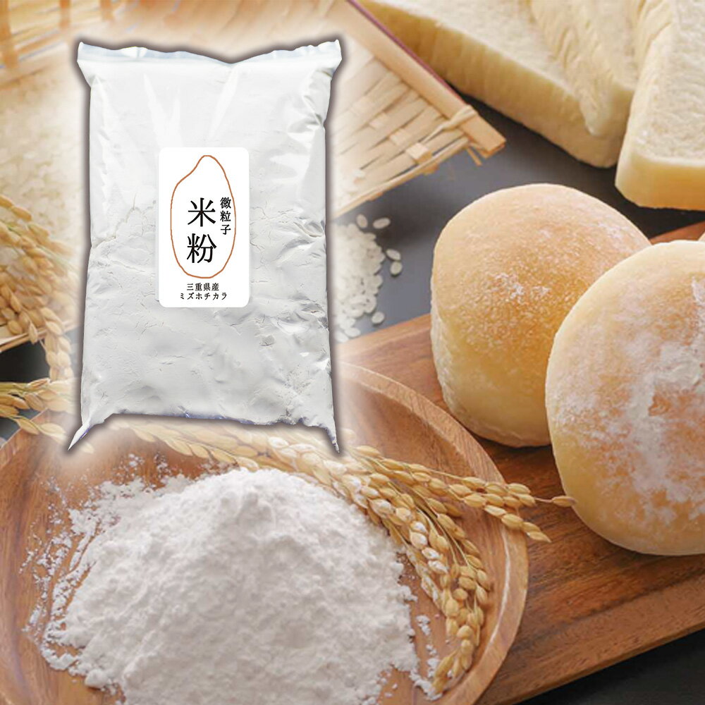 超微粉砕 米粉 パン用 三重県産 みずほちから 100%使用 480g 2個 25μm メール便対応可能 グルテンフリー 米粉パン 湿式気流粉砕