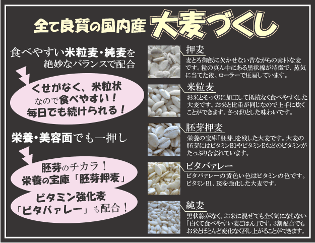 国産 大麦づくし 送料無料 420g×10(4.2kg) 5種類の麦ミックス 麦飯 雑穀米 大麦ごはん 押麦 胚芽押麦 米粒麦 ビタバーレ 純麦