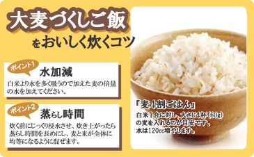 国産 大麦づくし 送料無料 420g×10(4.2kg) 5種類の麦ミックス 麦飯 雑穀米 大麦ごはん 押麦 胚芽押麦 米粒麦 ビタバーレ 純麦