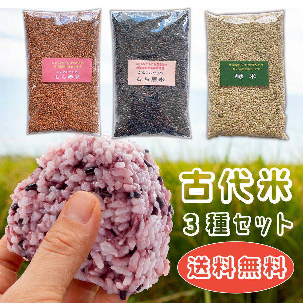 国産雑穀 黒米 赤米 緑米 750g 250g 3袋 送料無料 農薬不使用 古代米 3種セット マクロビ お中元 お歳暮 ギフト 低GI米