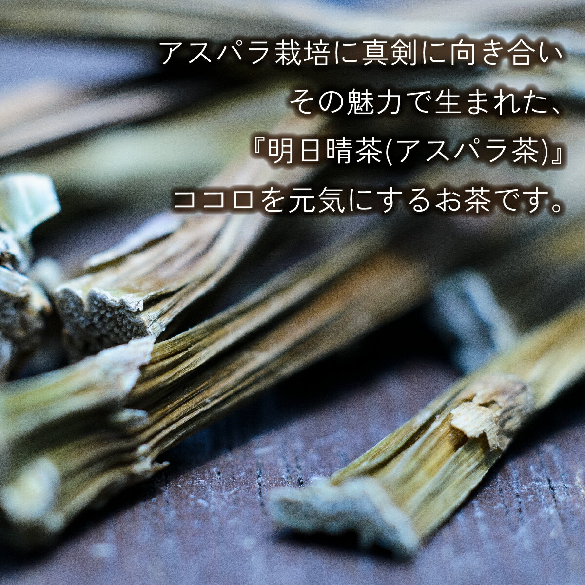 �����ѥ餫�����ޤ줿����������(�����ѥ���)�ٸ����α����Ǥ�˭�٤ʥ����ѥ�Τ���ǥۥäȰ�©��������Υ����ѥ�ϱ��ܤ����� �����ѥ饮��� ����� �ջ� ���� ��Ф�OK �����Τ�ǥȥå��� ����ե����� ǥ�� ���� ���� £���� �ץ쥼��� ���ե�