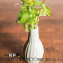 [Iga art link]山本 忠臣×宮本 俊 一輪挿し 陶器陶芸家 伊賀焼 建築家ディレクション 白い陶器 かわいい 白い一輪挿し インテリア雑貨 一輪挿し おしゃれ かっこいい シンプル 日本製 作家もの 雑貨 デスク 食卓 玄関◇ギフト プレゼント 結婚祝い 贈物