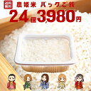 ひとめぼれ 160g×24食 パックご飯 「