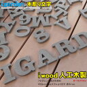 アイウッド木彫り文字 ダークブラウン■ 1文字 文字種は備考へ 7文字以上は送料込み アルファベット＆数字 H60mm 選べる2色 代引不可 オブジェ 大文字 切り文字 表札 屋外用 看板 結婚式 店舗用 装飾文字