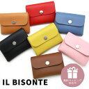 イルビゾンテ カードケース 名刺入れ カード入れ パスケース 名刺ケース ブランド 本革 レザー 牛革 革 CARD CASE レディース メンズ SCC100...