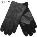 【訳あり■手首の内側に3mmほどの穴あり】 ポロ ラルフローレン 手袋 グローブ スマホ対応 タッチパネル対応 メンズ 羊革 シープスキン Polo Ralph...