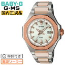  ٥ӡG ߥ ÿդ  顼 ݥåȥХ С MSG-W350CSG-7AJF CASIO ...