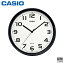    IQ-24-1JF  ץ CASIO å ڤ󤻡