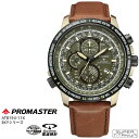 楽天時計・ブランド専門店 アイゲットシチズン CITIZEN プロマスター PROMASTER エコ ドライブ 電波 時計 AT8194-11X SKYシリーズ スーパーチタニウム ダイレクトフライト 20気圧防水 カレンダー 腕時計 【お取り寄せ】