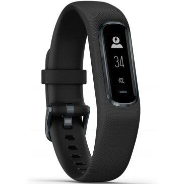 ガーミン GARMIN vivosmart 4 Black Slate レギュラーサイズ (010-01995-60) アクティビティトラッカー フィットネス ランニング ヨガ 筋トレ 水泳 V02Max測定 心拍計 睡眠計 スポーツウォッチ メール/ライン通知 天気情報 腕時計 【あす楽】【国内正規品】【送料無料】