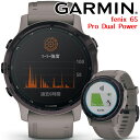 GPSスマートウォッチ ガーミン GARMIN fenix 6S Pro Dual Power WOA Amethyst (010-02409-22) 【取説サービス】 ランニング 登山 ピラティス ヨガ ゴルフ スノーボード ソーラー充電 Suica対応 血中酸素トラッキング 心拍計 音楽再生 【あす楽】【国内正規品】