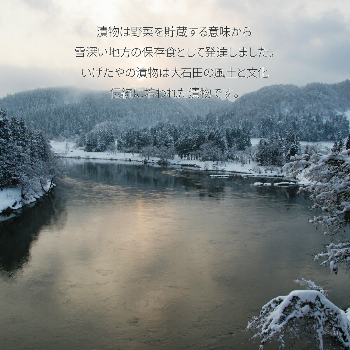 わらびの一本漬山形県大石田町産漬物わらび山菜酒の供酒の肴ご飯のお供お取り寄せ老舗